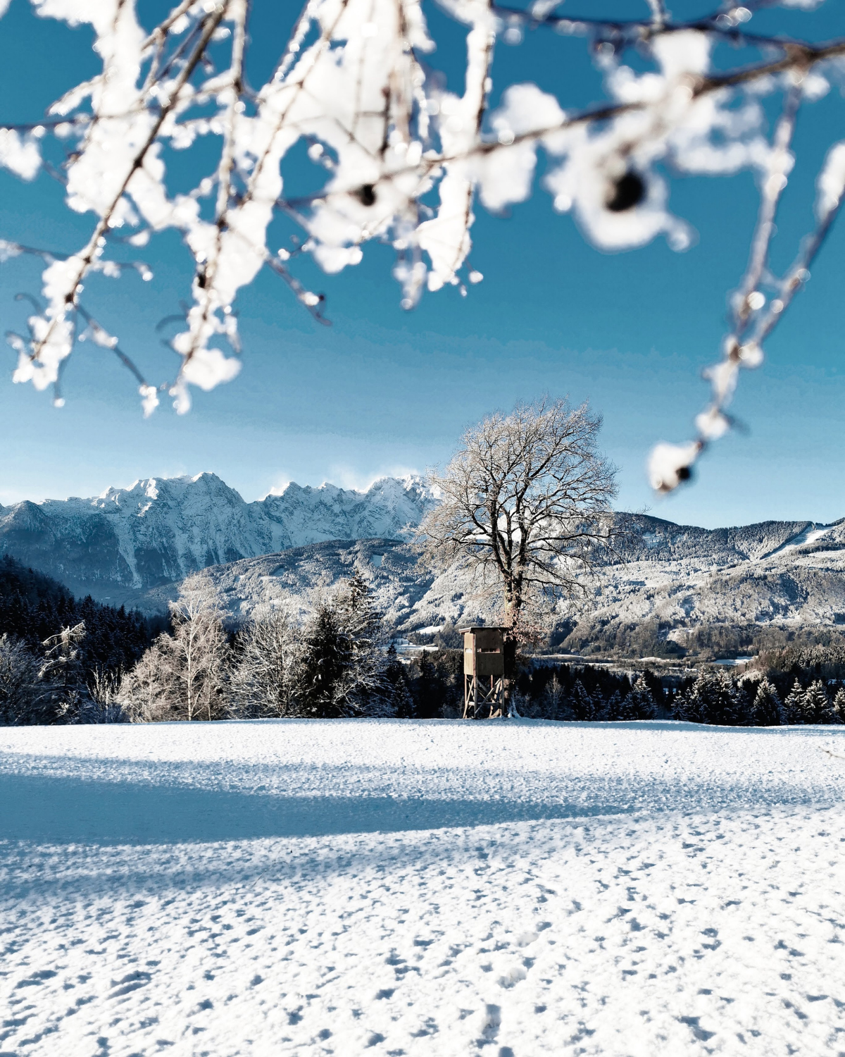Winterliches Foto mit blauem Himmel und Schnee