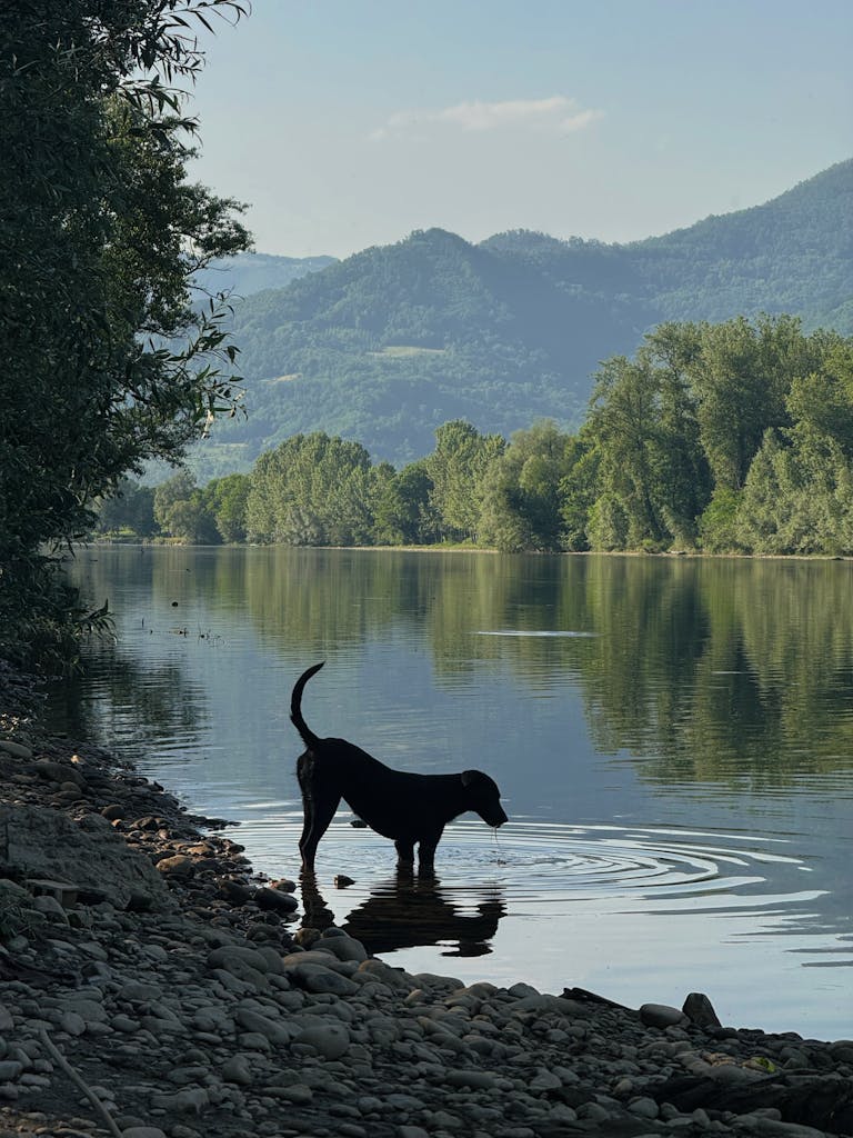 Created with RNI Films app. Profile 'Agfa Optima 200'